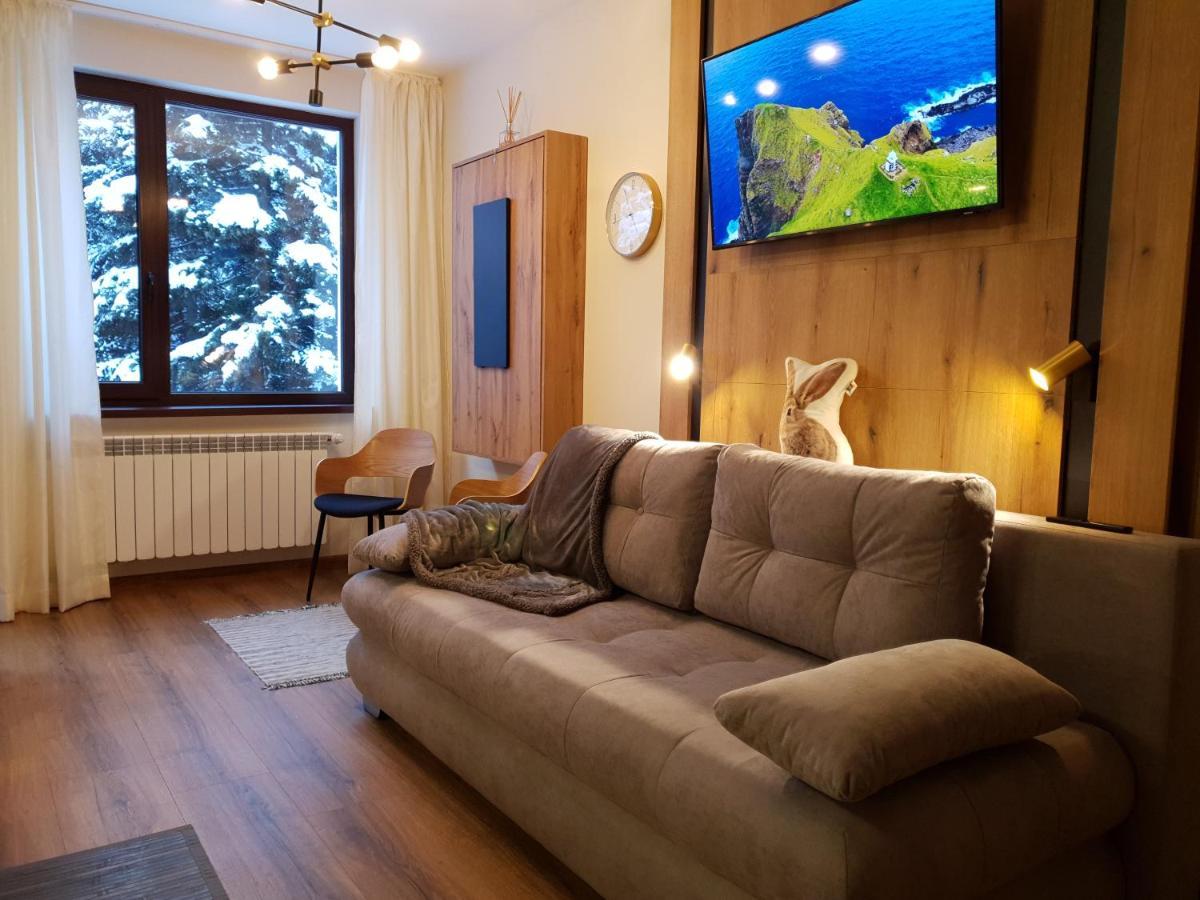 Pinewood Ang Luxurious Apartment A32 Borovets Exterior photo